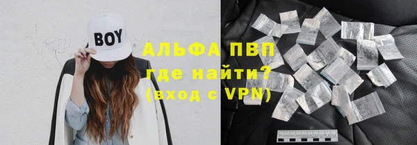 стафф Володарск