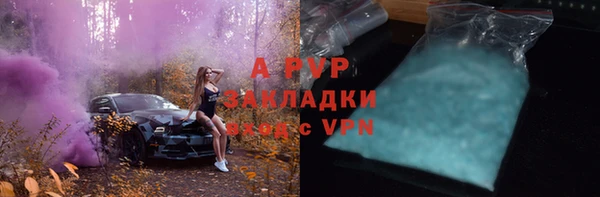 стаф Усинск