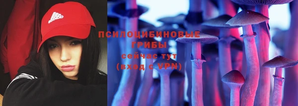 стафф Володарск