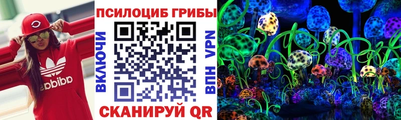 Галлюциногенные грибы Psilocybine cubensis  Снежинск 