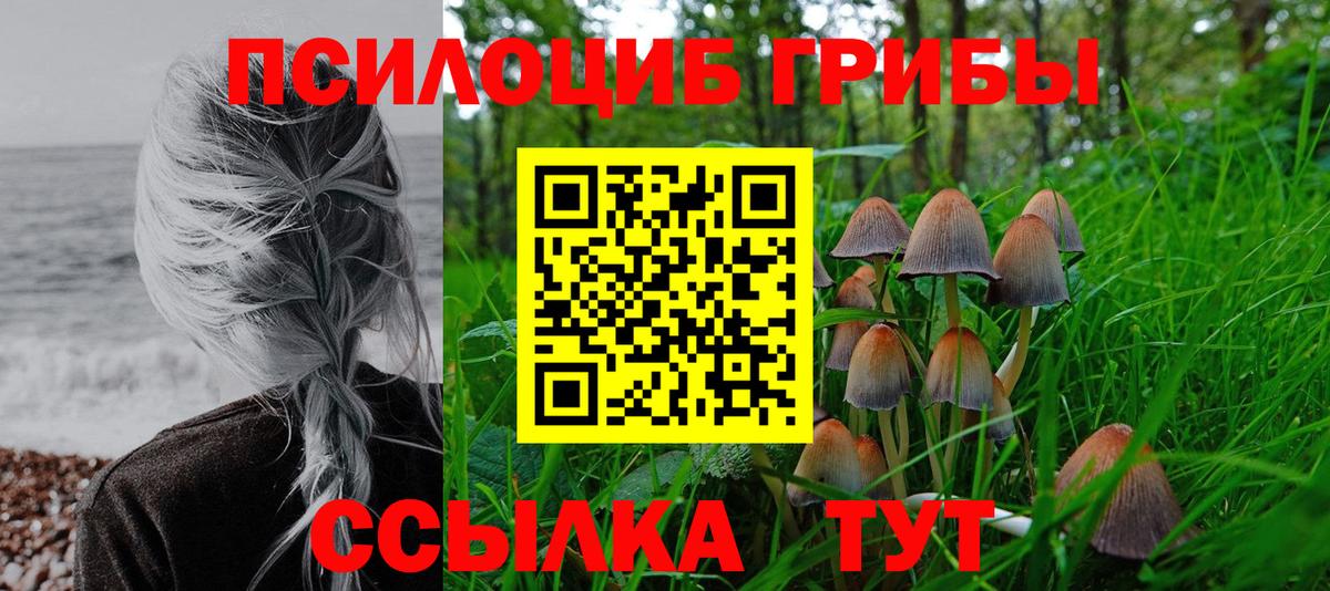 Галлюциногенные грибы мицелий Снежинск
