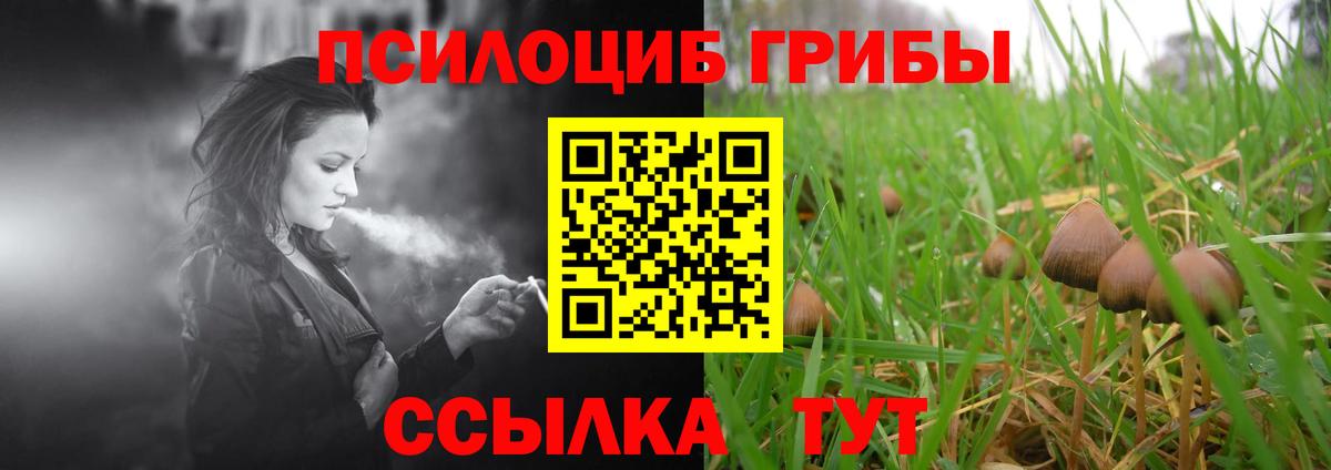 Псилоцибиновые грибы ЛСД  Псилоцибиновые грибы GOLDEN TEACHER  Снежинск  Вход с VPN 